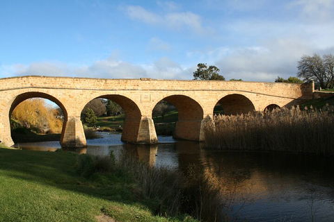Mt. Wellington, Bonorong And Richmond Day Tour From Hobart - Accommodation Directory 4
