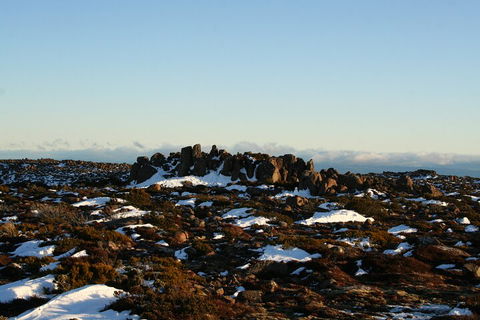 Mt. Wellington, Bonorong And Richmond Day Tour From Hobart - Accommodation Directory 5