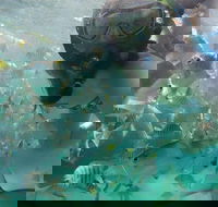 2-Day Moreton Island 4WD Camping Tour from Brisbane - Accommodation Directory