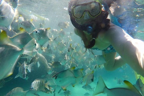 2-Day Moreton Island 4WD Camping Tour From Brisbane - Accommodation Directory 0