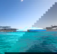 Fremantle to Rottnest Island Roundtrip Ferry Ticket - Accommodation Directory
