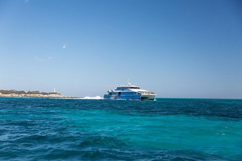 Fremantle To Rottnest Island Roundtrip Ferry Ticket - Accommodation Directory 5