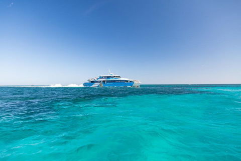 Rottnest Island Bike & Ferry Package From Fremantle - Accommodation Directory 0