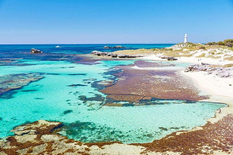 Rottnest Island Bike & Ferry Package From Fremantle - Accommodation Directory 5