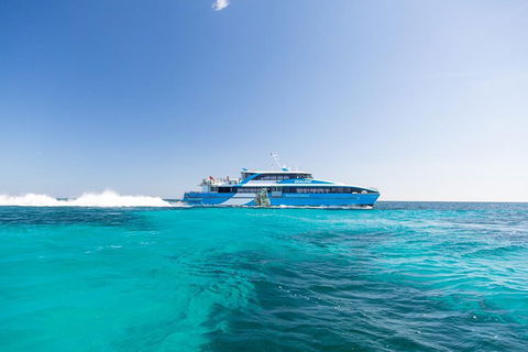 Rottnest Island Bike, Snorkel & Ferry Package From Fremantle - Accommodation Directory 0