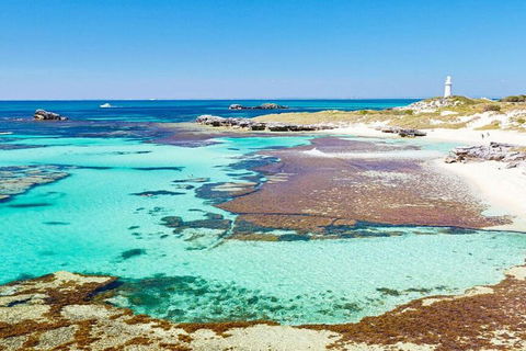 Rottnest Island Bike, Snorkel & Ferry Package From Perth - Accommodation Directory 5