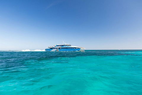 Rottnest Island Settlement Explorer Segway Package From Perth - Accommodation Directory 1