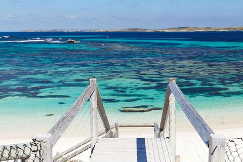Rottnest Island Settlement Explorer Segway Package From Perth - Accommodation Directory 4