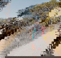Self-Guided Point Nepean National Park Bike Hire - Accommodation Directory