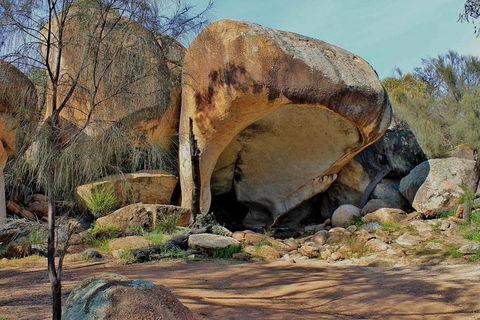 Wave Rock & Rottnest Island - Air & Ground Tour - Accommodation Directory 4
