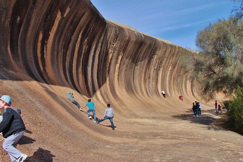 Wave Rock Half Day Air & Ground Tour - Accommodation Directory 2