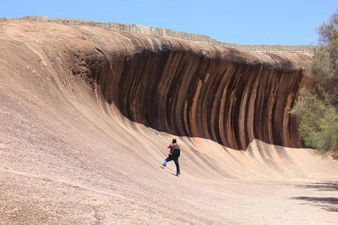 Wave Rock Half Day Air & Ground Tour - Accommodation Directory 3