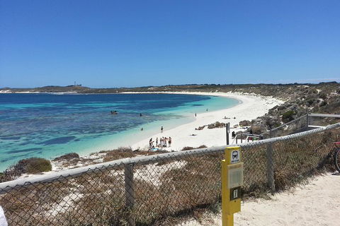 Wave Rock, Pinnacles And Rottnest One Day Aeroplane Tour - Accommodation Directory 2