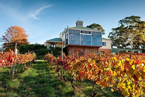 Adelaide Hills Food, Wine, Cheese, & Chocolate - Private Day Tour - Accommodation Directory 3