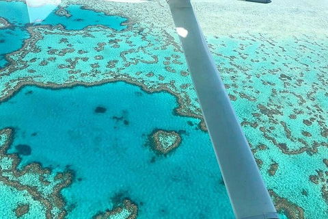 Whitsunday Islands 1-Hour Reef Scenic Helicopter Tour - Accommodation Directory 3