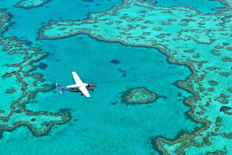 Fly & Sail Package (With Providence) - Accommodation Directory 4