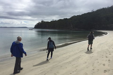 Small-Group Day Trip From Hobart To Bruny Island - Accommodation Directory 1