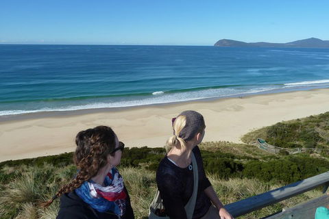 Small-Group Day Trip From Hobart To Bruny Island - Accommodation Directory 3