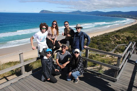 Small-Group Day Trip From Hobart To Bruny Island - Accommodation Directory 4