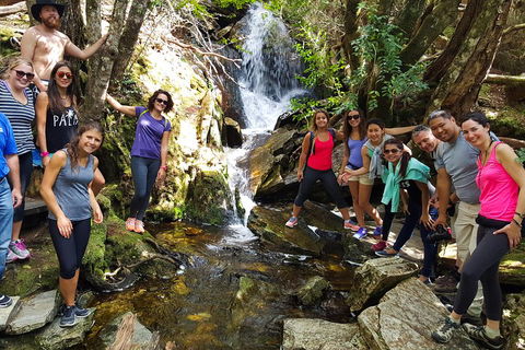 7-Day Super Value Tour Of Tasmania: Explore Tasmania's West And East Coasts - Accommodation Directory 2