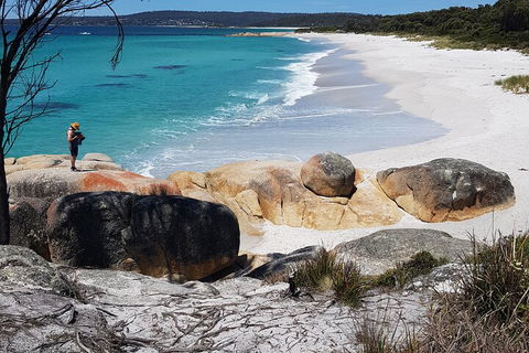 2-Day Tas East Coast Escape Tour Including Bay Of Fires, Wineglass Bay & Devils - Accommodation Directory 4