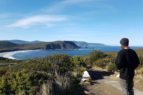 4-Day Fabulous Tasmania Tour: Wineglass Bay, Port Arthur, Devils & Bruny Island - Accommodation Directory 0