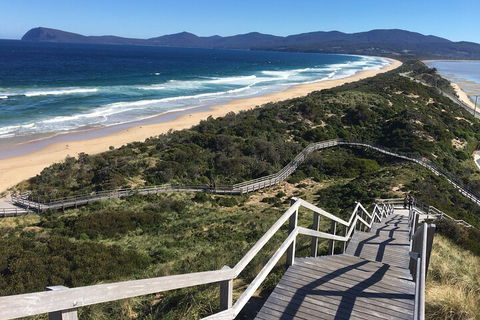4-Day Fabulous Tasmania Tour: Wineglass Bay, Port Arthur, Devils & Bruny Island - Accommodation Directory 5