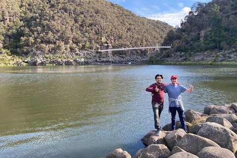 5-Day Best Of Tasmania Tour From Hobart - Accommodation Directory 2