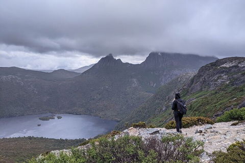 5-Day Best Of Tasmania Tour From Hobart - Accommodation Directory 3