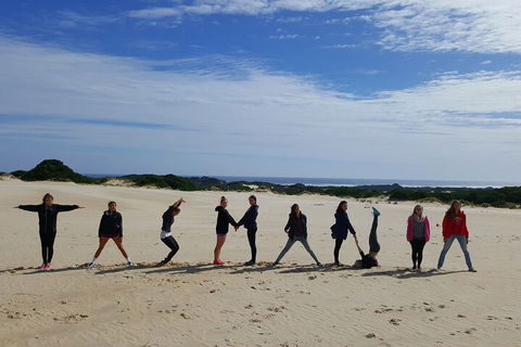 5-Day Best Of Tasmania Tour From Hobart - Accommodation Directory 4