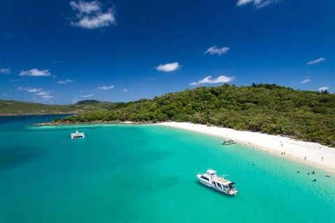 Whitehaven Beach And Hill Inlet | Awesome Beach BBQ | Family Friendly - Accommodation Directory 3