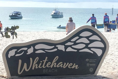 Whitehaven Beach And Hill Inlet | Awesome Beach BBQ | Family Friendly - Accommodation Directory 5