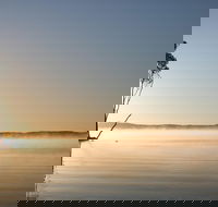 Serenity Cruise to Australia's Everglades - Accommodation Directory