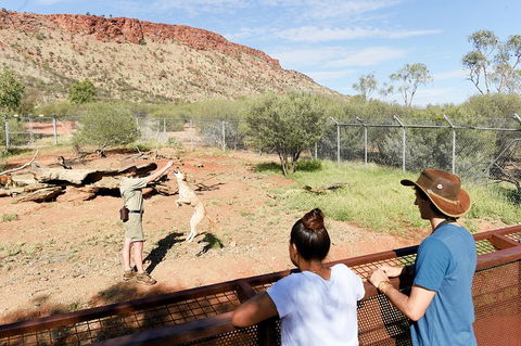 Alice Springs Desert Park General Entry Ticket - Accommodation Directory 4