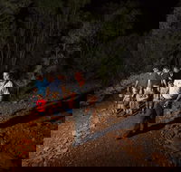 Alice Springs Desert Park Nocturnal Tour - Accommodation Directory