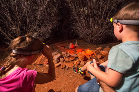 Alice Springs Desert Park Nocturnal Tour - Accommodation Directory 4