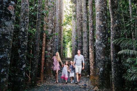 The Original Day Tour To Paronella Park, Lake Barrine And Millaa Millaa Falls - Accommodation Directory 1