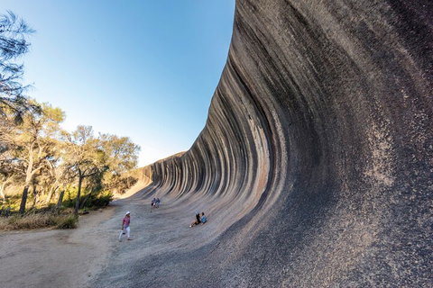 Full-Day Wave Rock & Historic York - Accommodation Directory 0