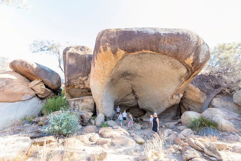 Full-Day Wave Rock & Historic York - Accommodation Directory 5