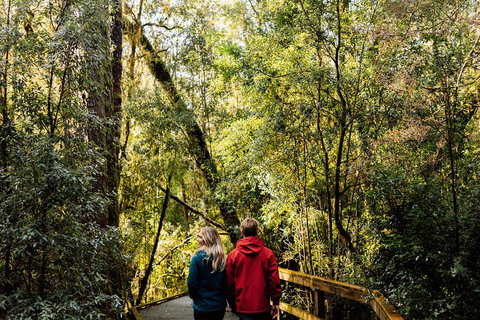 Gordon River Cruise Departing From Strahan - Accommodation Directory 2