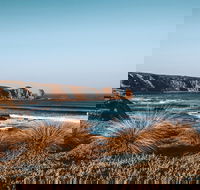 Small Group - Phillip Island Hike  Penguin Parade Day Tour from Melbourne - Accommodation Directory