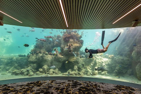Whitehaven Beach And Daydream Island Cruise - Accommodation Directory 4