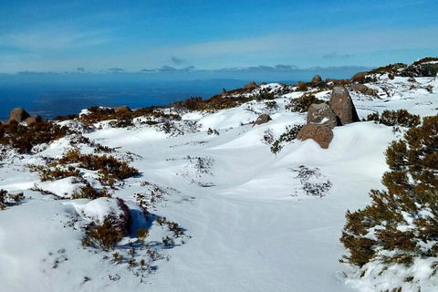 Mount Wellington Ultimate Experience Tour From Hobart - Accommodation Directory 1