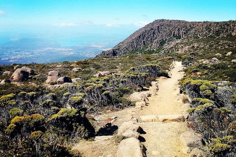 Mount Wellington Ultimate Experience Tour From Hobart - Accommodation Directory 5