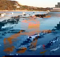 Adventure Moreton Island Wrecks Adventure Package - Accommodation Directory