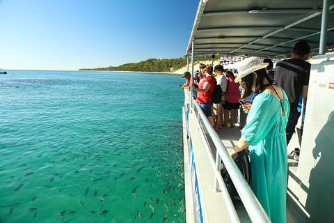 Adventure Moreton Island Wrecks Adventure Package - Accommodation Directory 1