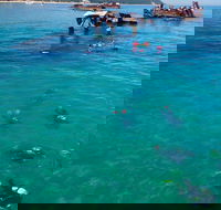 Adventure Moreton Island Scuba Dive Tour - Accommodation Directory