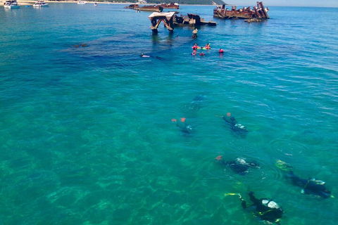 Adventure Moreton Island Scuba Dive Tour - Accommodation Directory 0