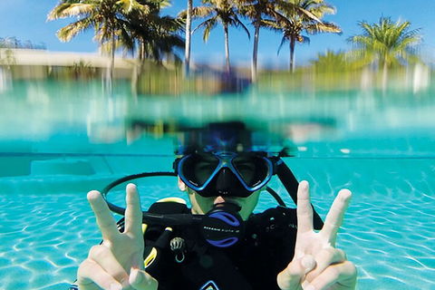 Adventure Moreton Island Scuba Dive Tour - Accommodation Directory 2