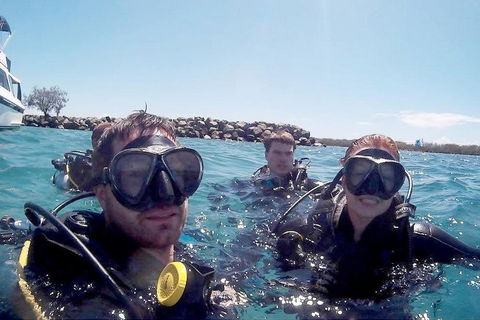 Wave Break Island Scuba Diving On The Gold Coast - Accommodation Directory 0
